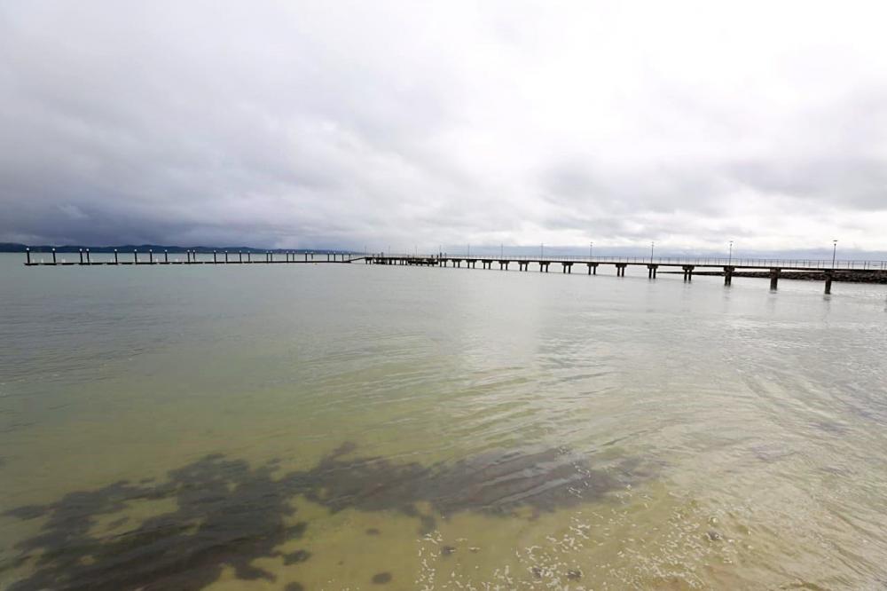 Fotos: Feijão Almeida