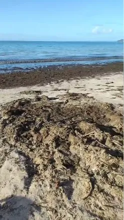 Praia de Madre de Deus totalmente imprópria: Monitoramento aponta risco para banhistas. Foto: RC News