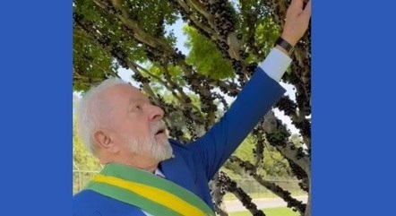 Lula comeu fruta do pé com faixa presidencial. Foto: JANJA DA SILVA