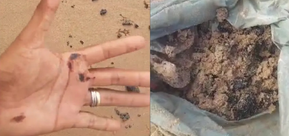Manchas de óleo foram encontradas em praias de Salvador neste domingo (10) — Foto: Redes sociais
