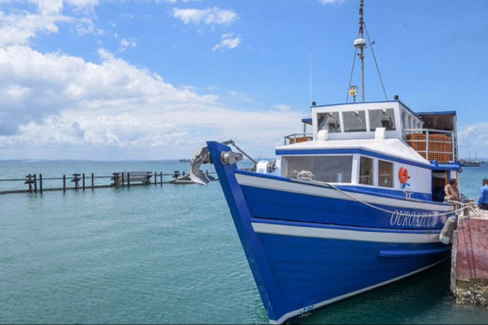 Foto: Elias Dantas / Alô Alô Bahia