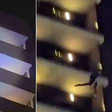 Reprodução / Internet