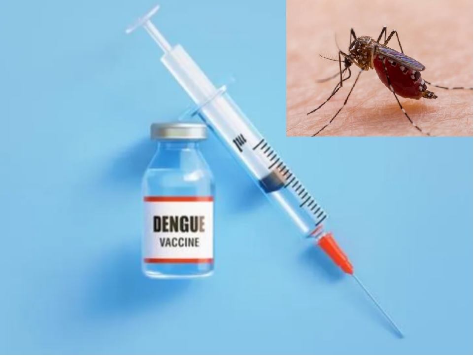 Foto/Montagem: RC News