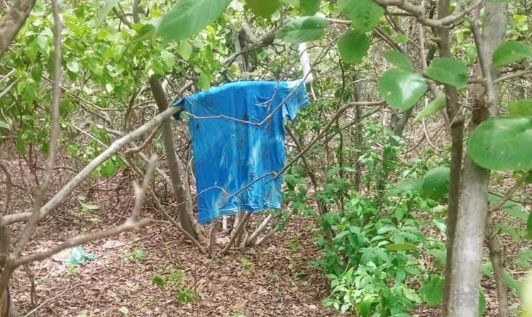 Reprodução / Internet