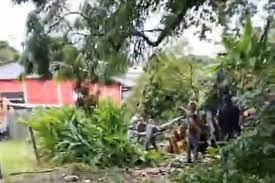 Reprodução / Internet