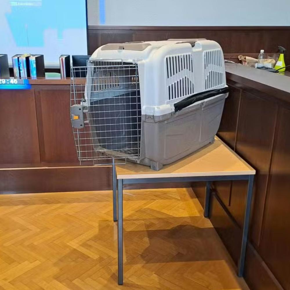 Reprodução / Internet