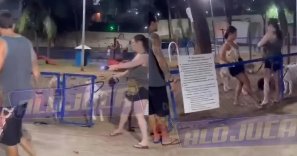 Reprodução / Internet