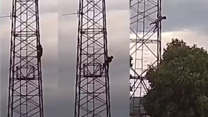 Reprodução / Internet