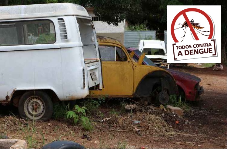 A iniciativa visa reduzir os riscos de transmissão da dengue. Foto: Reprodução