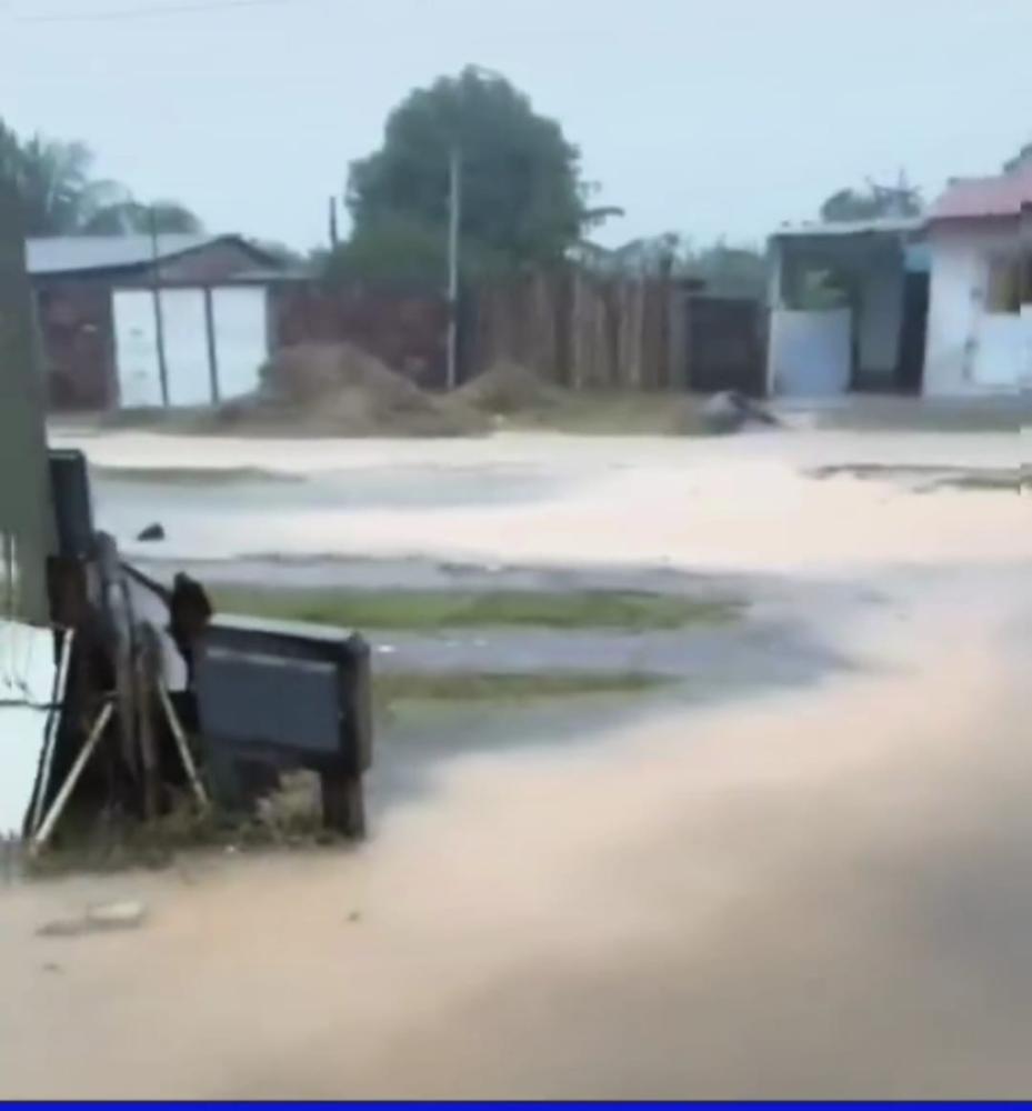 Print / Video Instagram