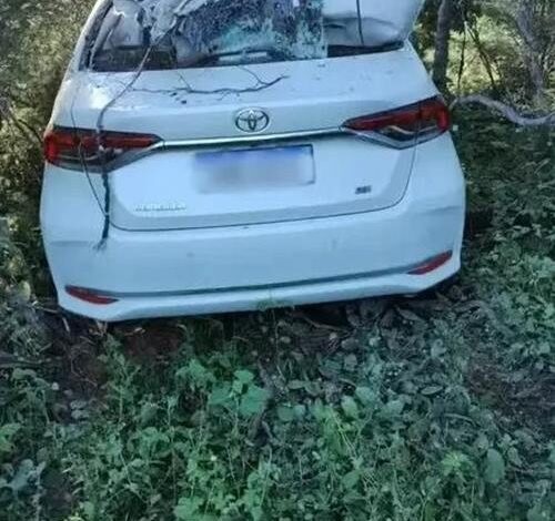 Reprodução / Internet