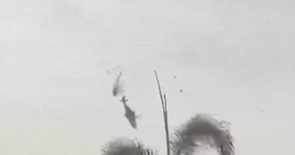 Reprodução / Internet