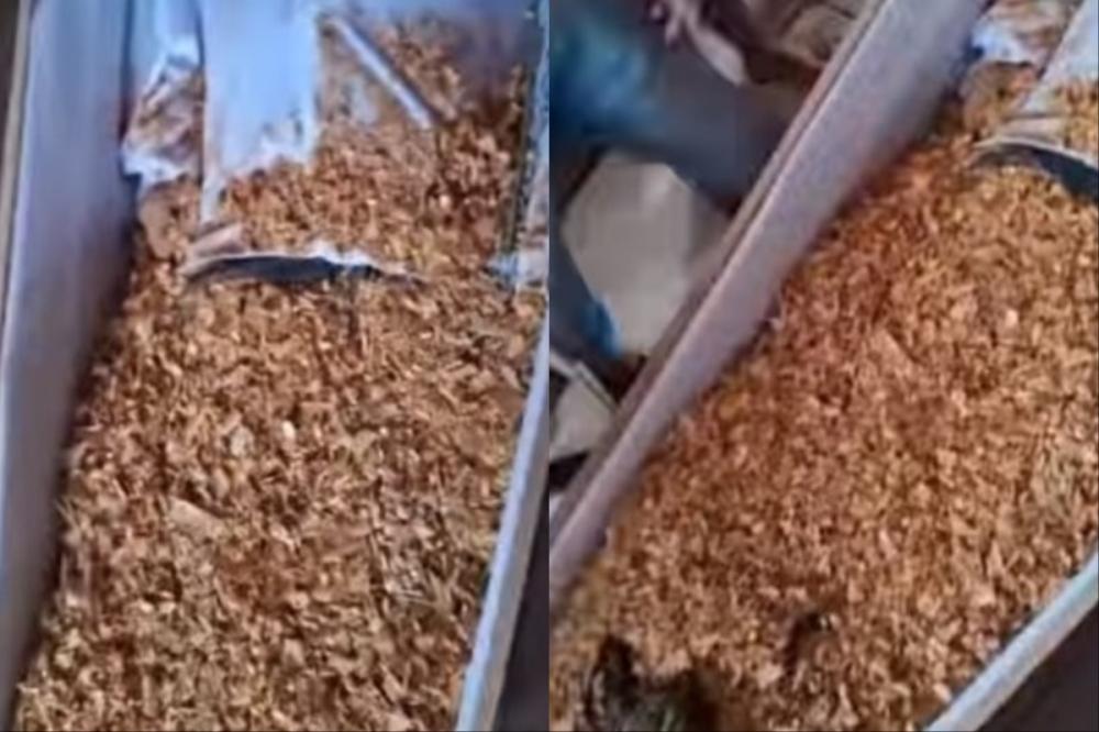 Reprodução / Internet