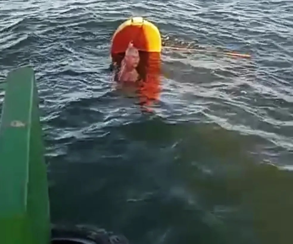 Tripulante da canoa no momento do resgate foi divulgada nas redes sociais - Foto: Reprodução / Redes Sociais