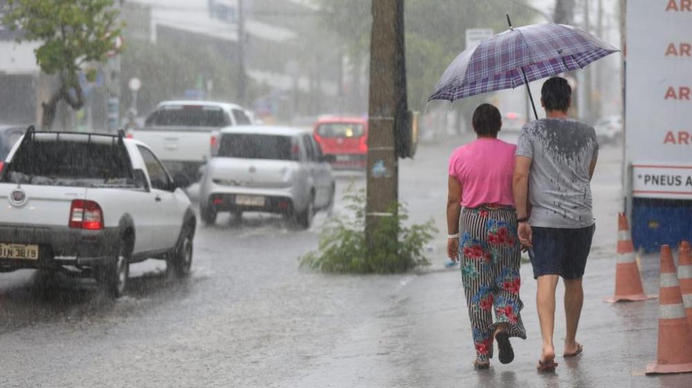 Imagem Ilustrativa / Reprodução