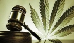 Reprodução / Internet