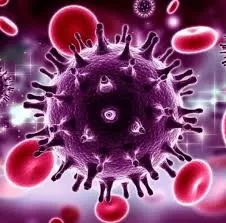 Reprodução / Internet