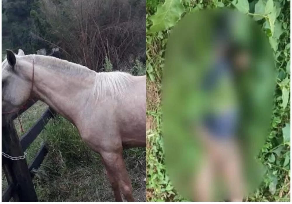 Reprodução / Redes Sociais