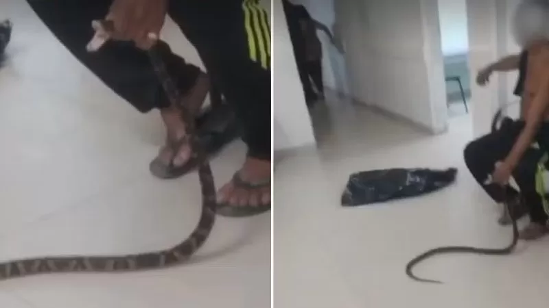 Reprodução / Redes Sociais