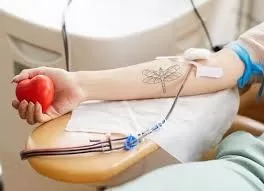 Reprodução / Internet