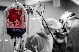 Reprodução / Internet