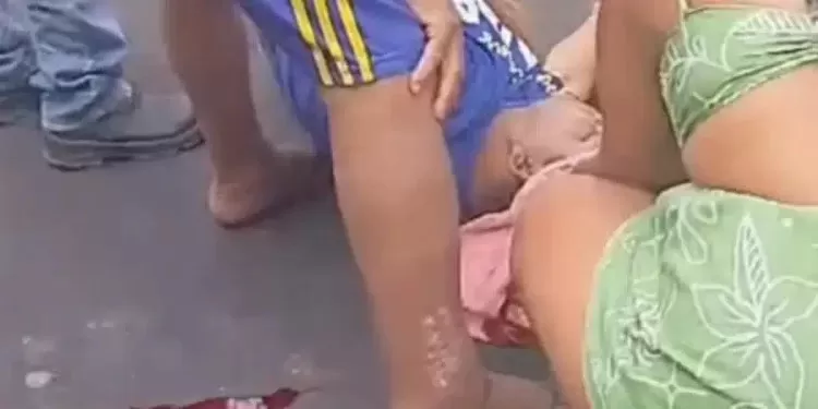 Reprodução