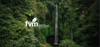 Reprodução / Internet