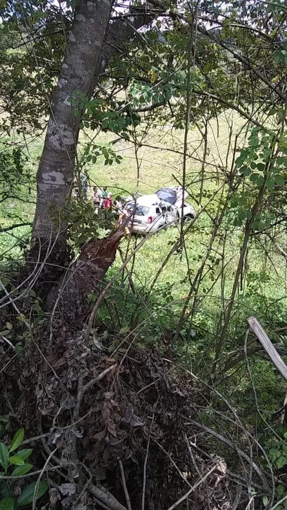 Reprodução / Whatsapp