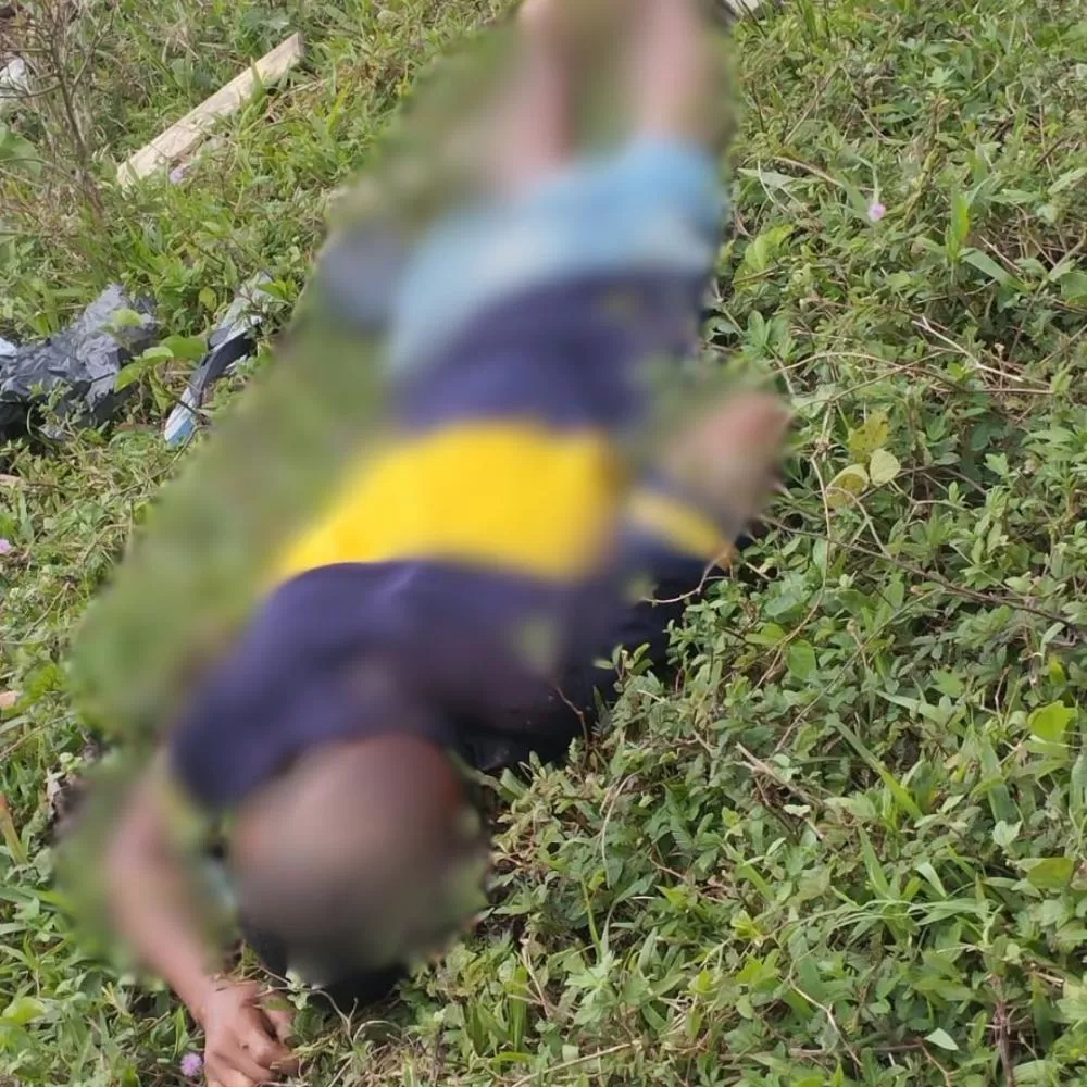 Foto: Reprodução/WhatsApp