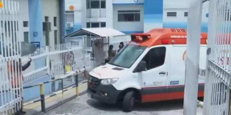 Reprodução