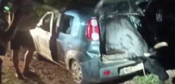 Reprodução/ Vídeo