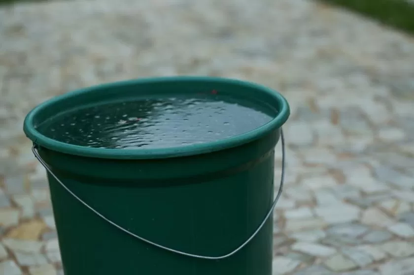 Reprodução / Internet