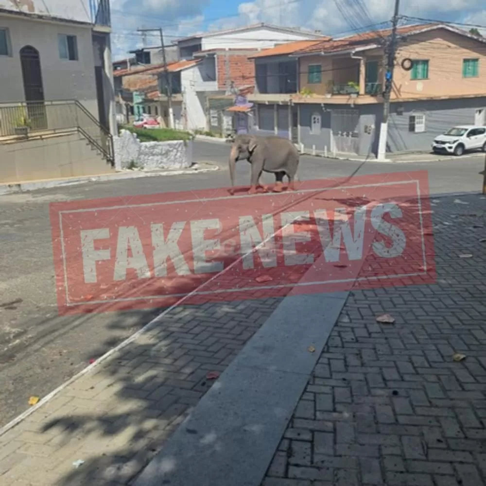 Reprodução / Redes Sociais