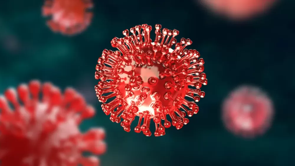 Novo Coronavírus 2.0 é descoberto na China com potencial de nova pandemia. Reprodução