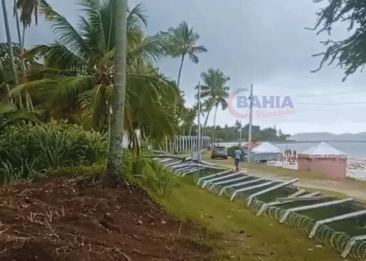 Coqueiro cai em cima de cerca da Transpetro após chuva e ventos fortes em Madre de Deus. Foto: reprodução/Bahia Manchetes.
