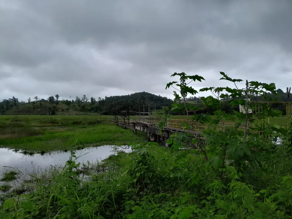 Substância oleosa foi encontrada na Barragem de São Paulo. Foto: Divulgação