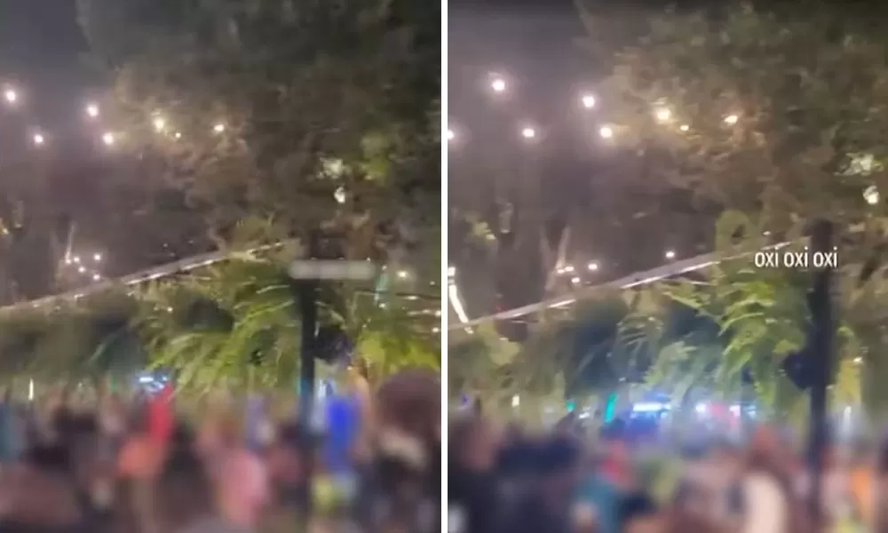 Cerca de 500 samambaias são furtadas em festival de música na Bahia; prejuízo chega a R$ 7,5 mil. Foto: Reprodução