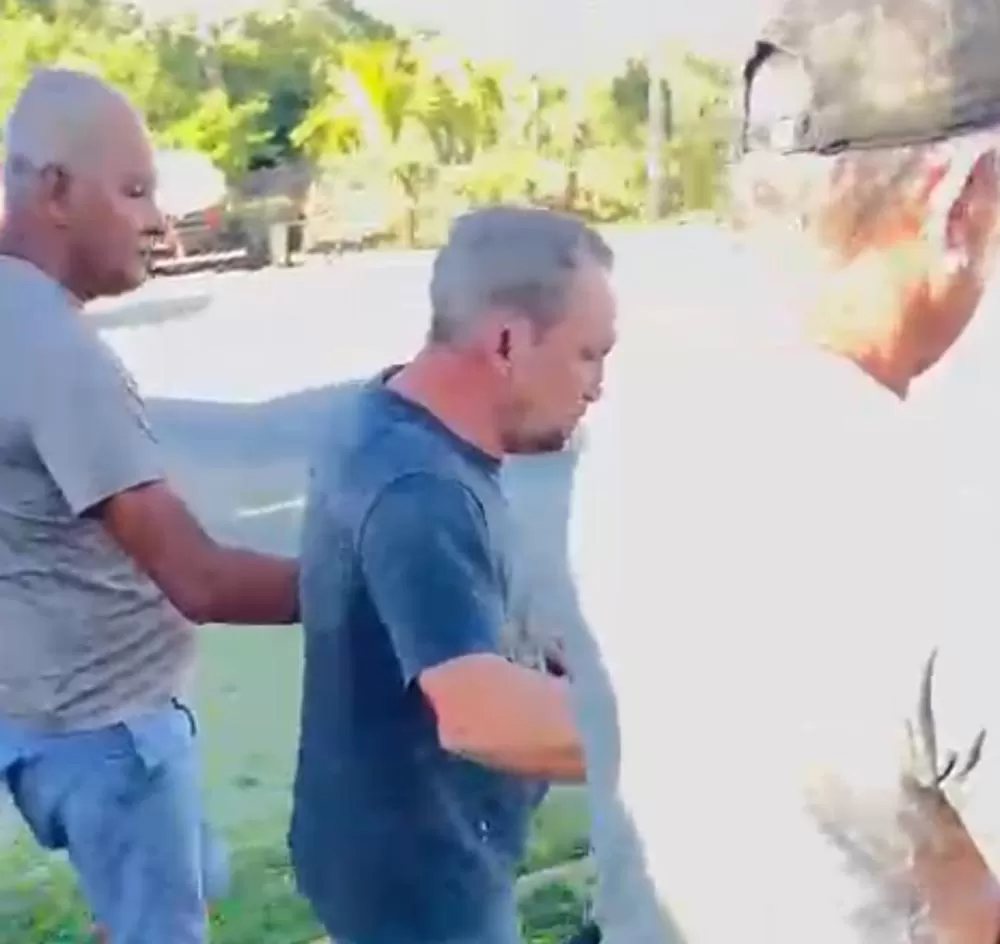 Reprodução/Internet