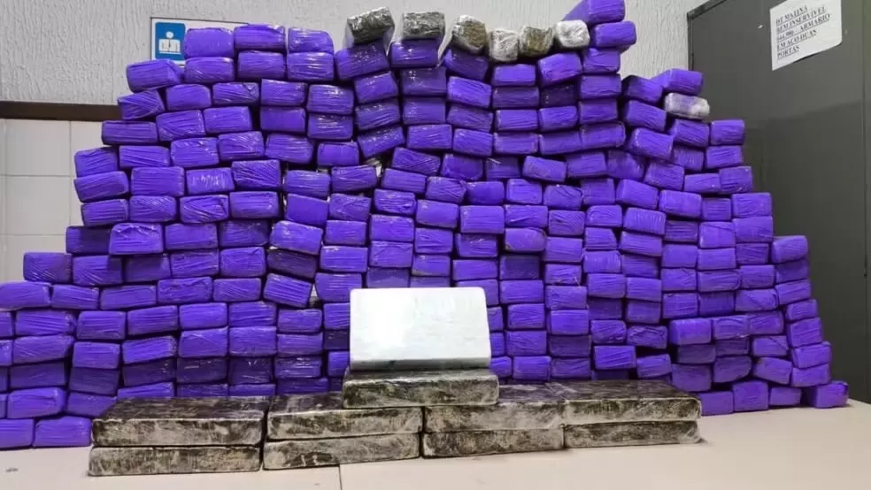 Homem é preso com quase 300 tabletes de drogas em van de turismo na Bahia. Foto: Polícia Civil