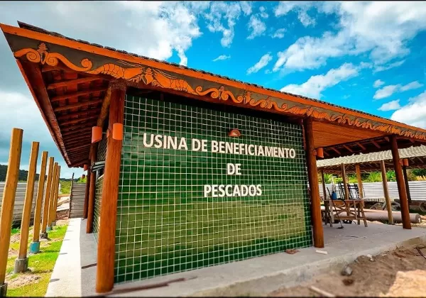Ilha de Bom Jesus dos Passos ganhará Usina de Beneficiamento de Pescado. Foto: Fundação Baia Viva