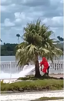 Foto: Reprodução/Vídeo RC News