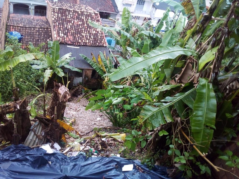 Divulgação/WatsApp