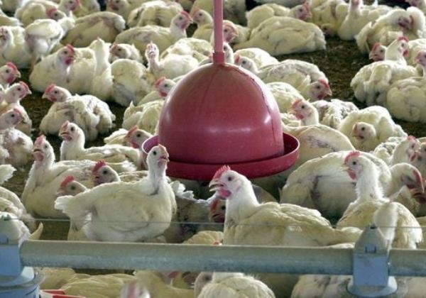 Foto: Agência Brasil/Arquivo